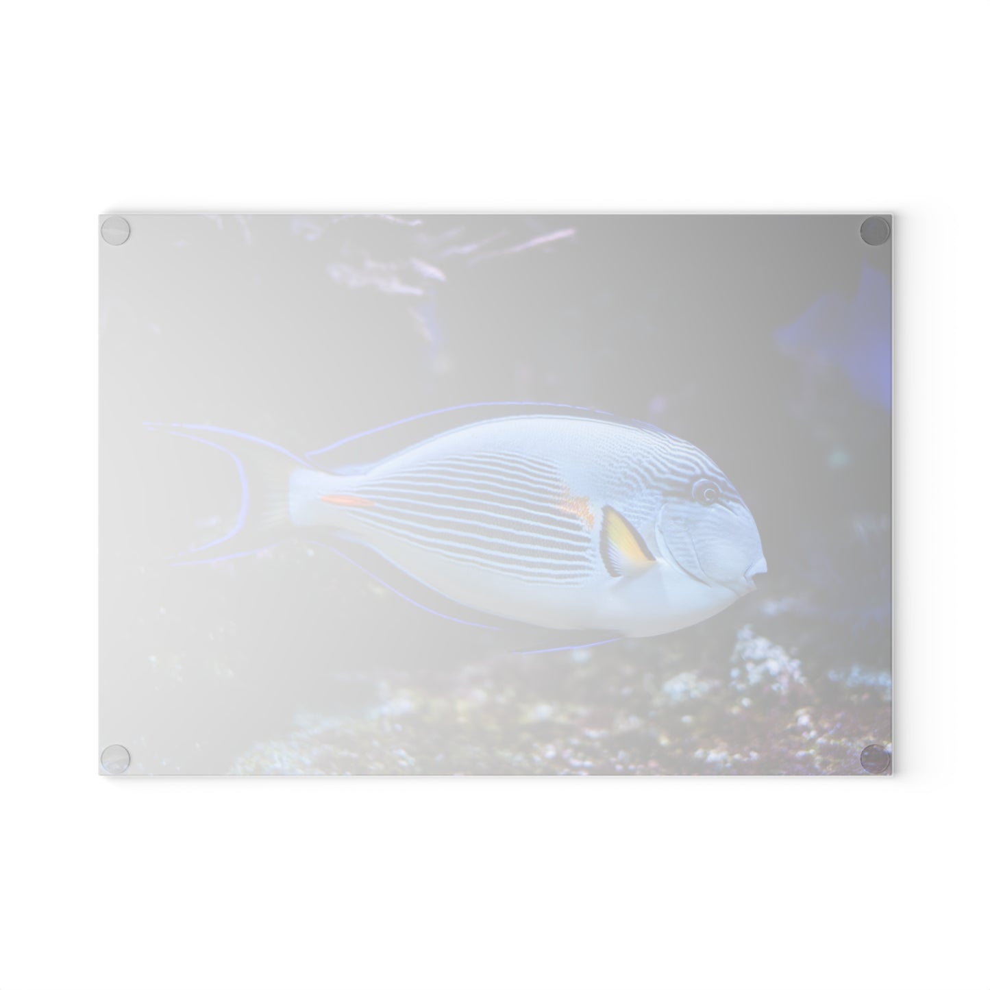 Tabla de cortar de coral Blue Tang: un elegante estilo oceánico para tu cocina