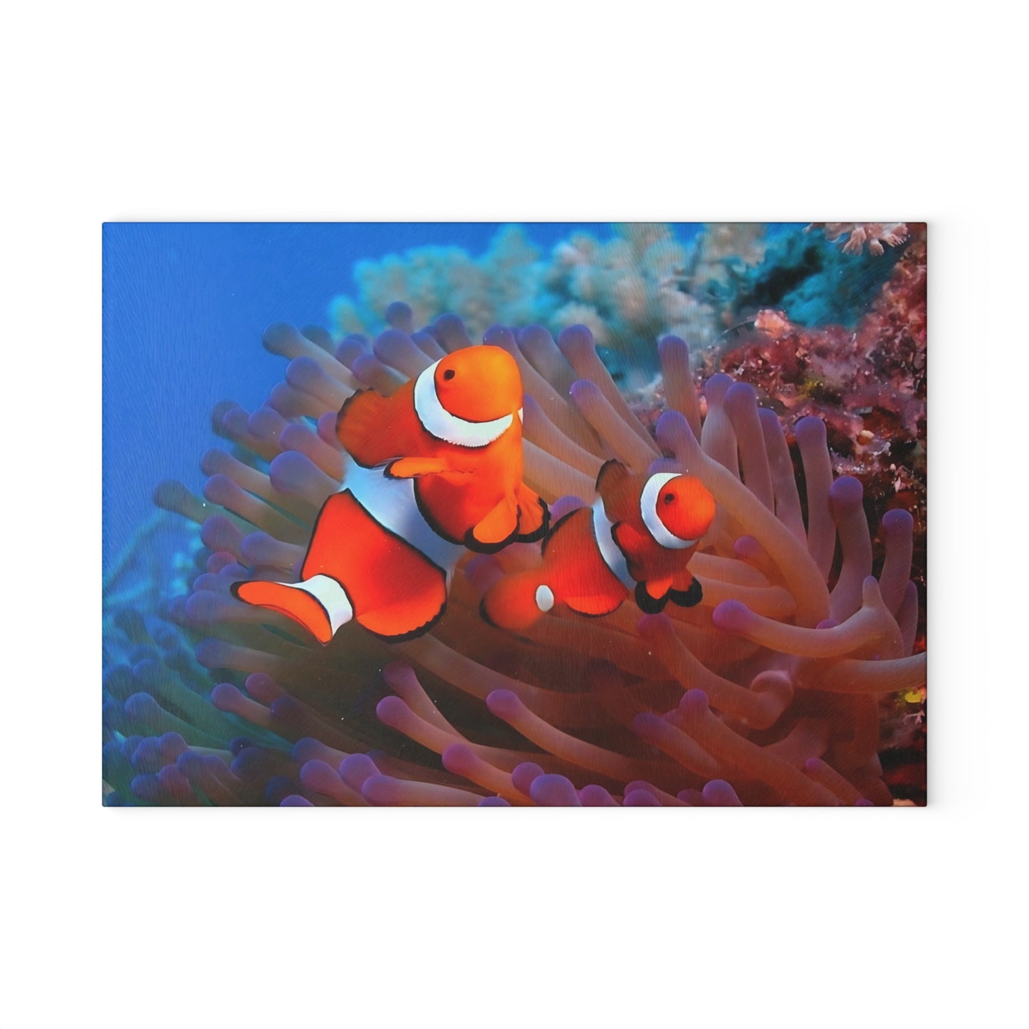 Tabla de cortar de pez payaso con diseño de arrecife de coral: un encanto de arrecife brillante para tu cocina