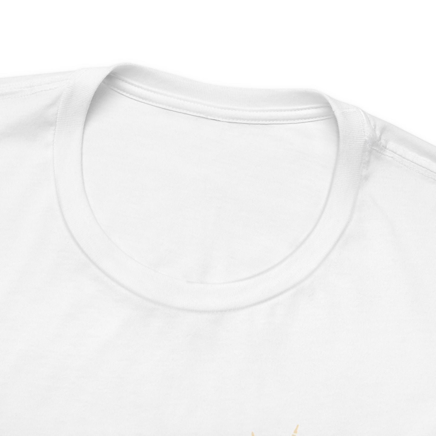 🎤 DAD TOUR – Camiseta divertida para papá inspirada en un concierto