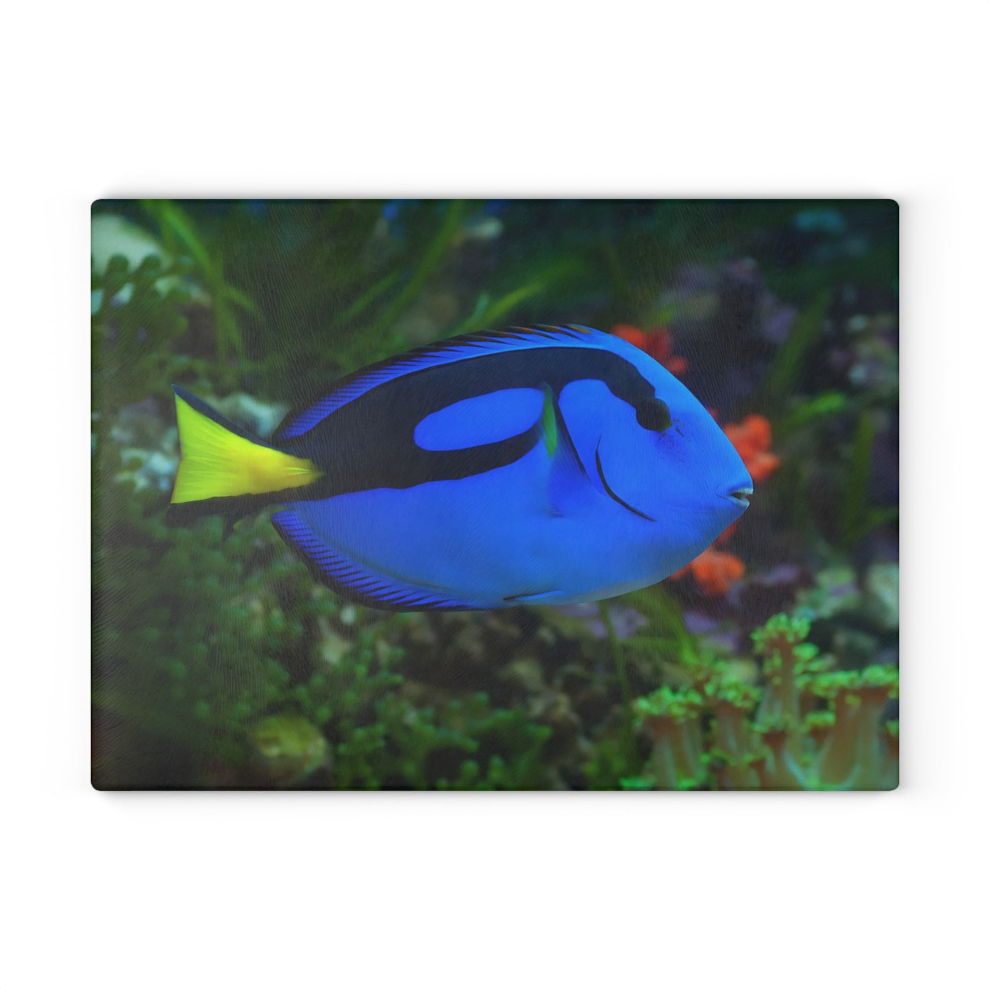 Tabla de cortar Blue Tang Reef: un toque de vibrante vida marina para tu cocina