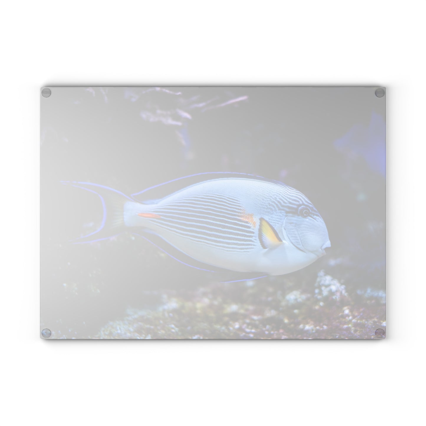 Tabla de cortar de coral Blue Tang: un elegante estilo oceánico para tu cocina