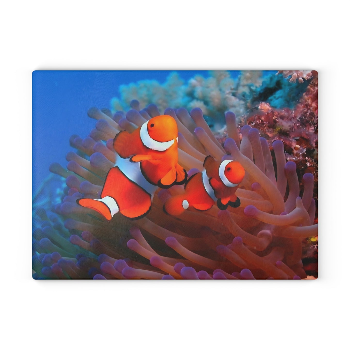 Tabla de cortar de pez payaso con diseño de arrecife de coral: un encanto de arrecife brillante para tu cocina