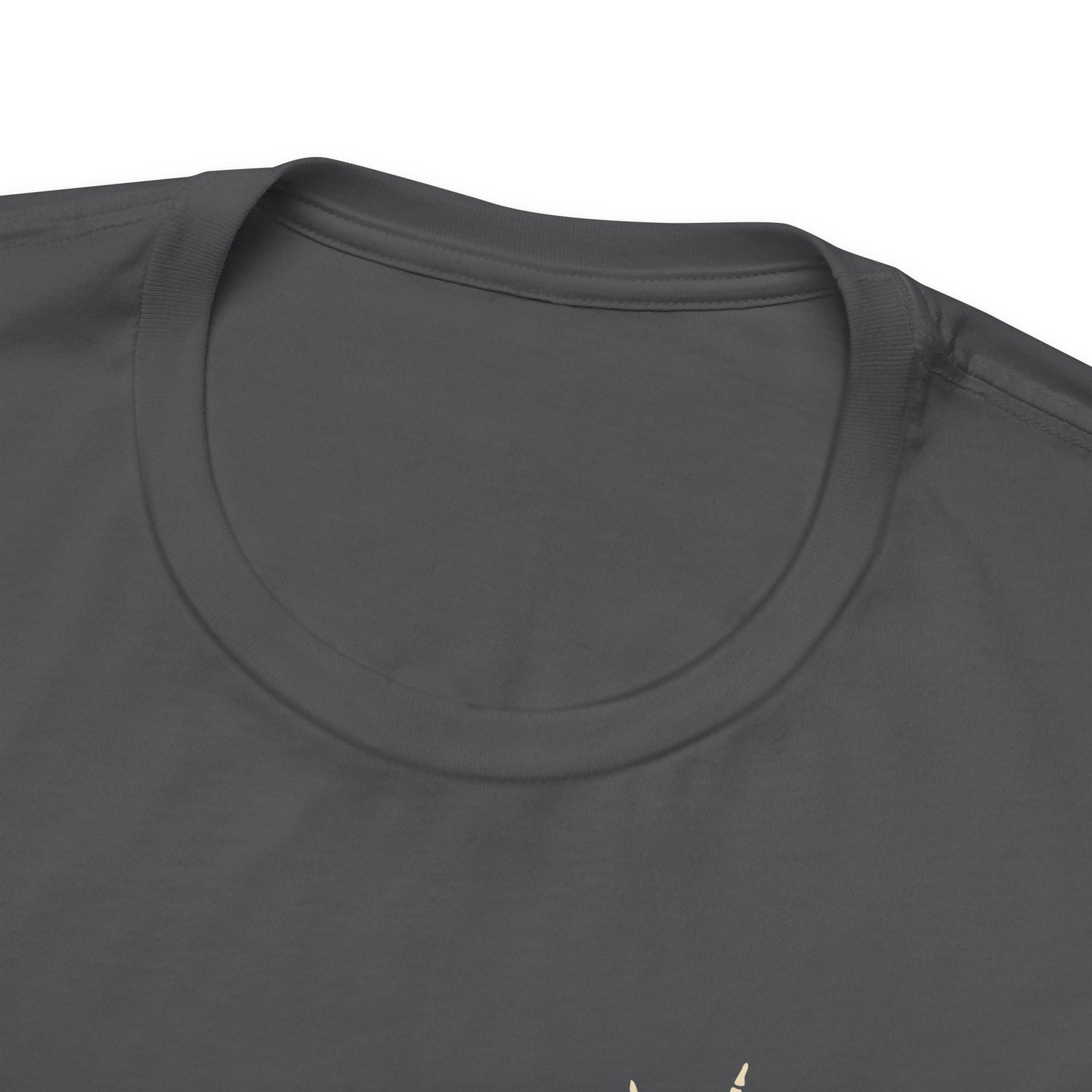🎤 DAD TOUR – Camiseta divertida para papá inspirada en un concierto