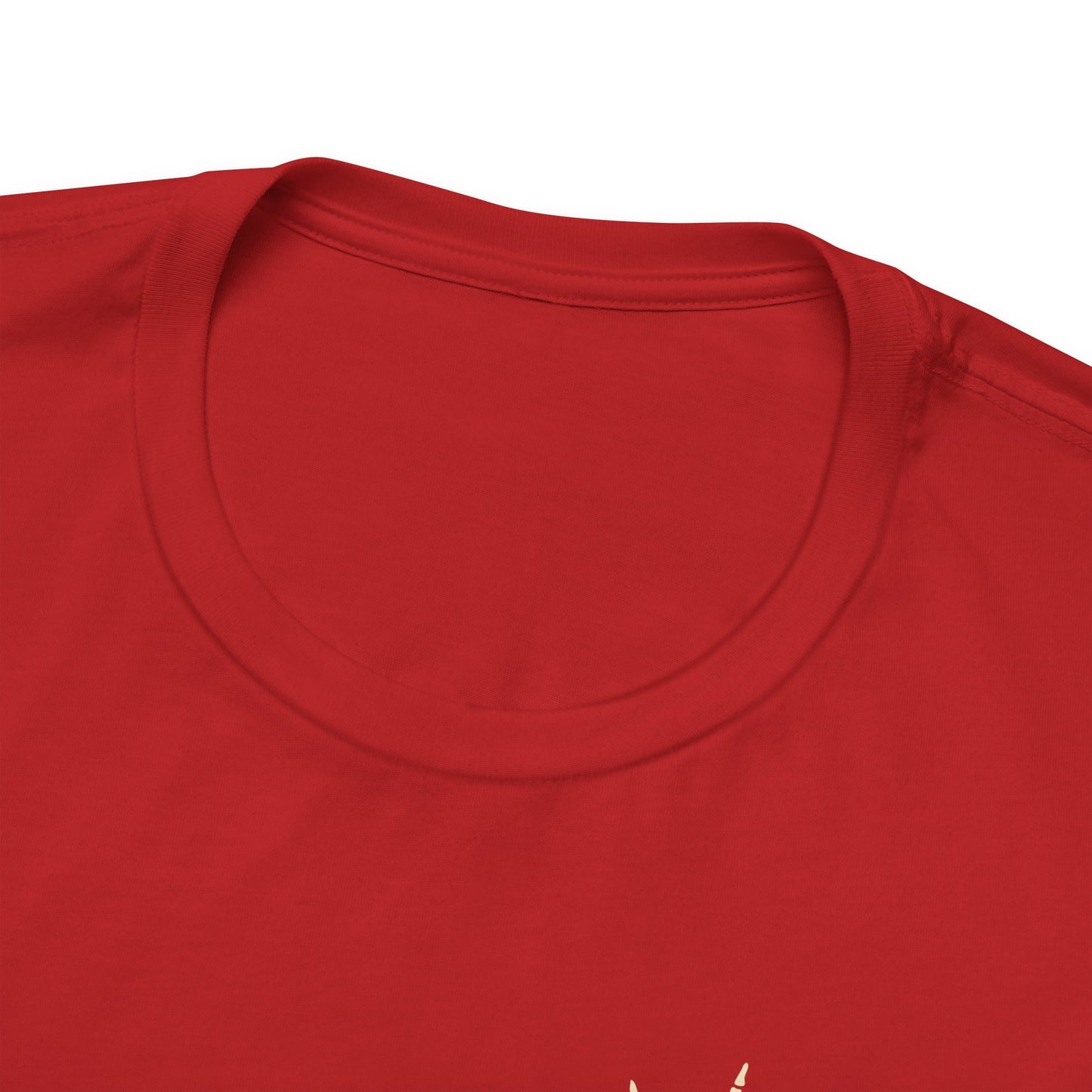 🎤 DAD TOUR – Camiseta divertida para papá inspirada en un concierto