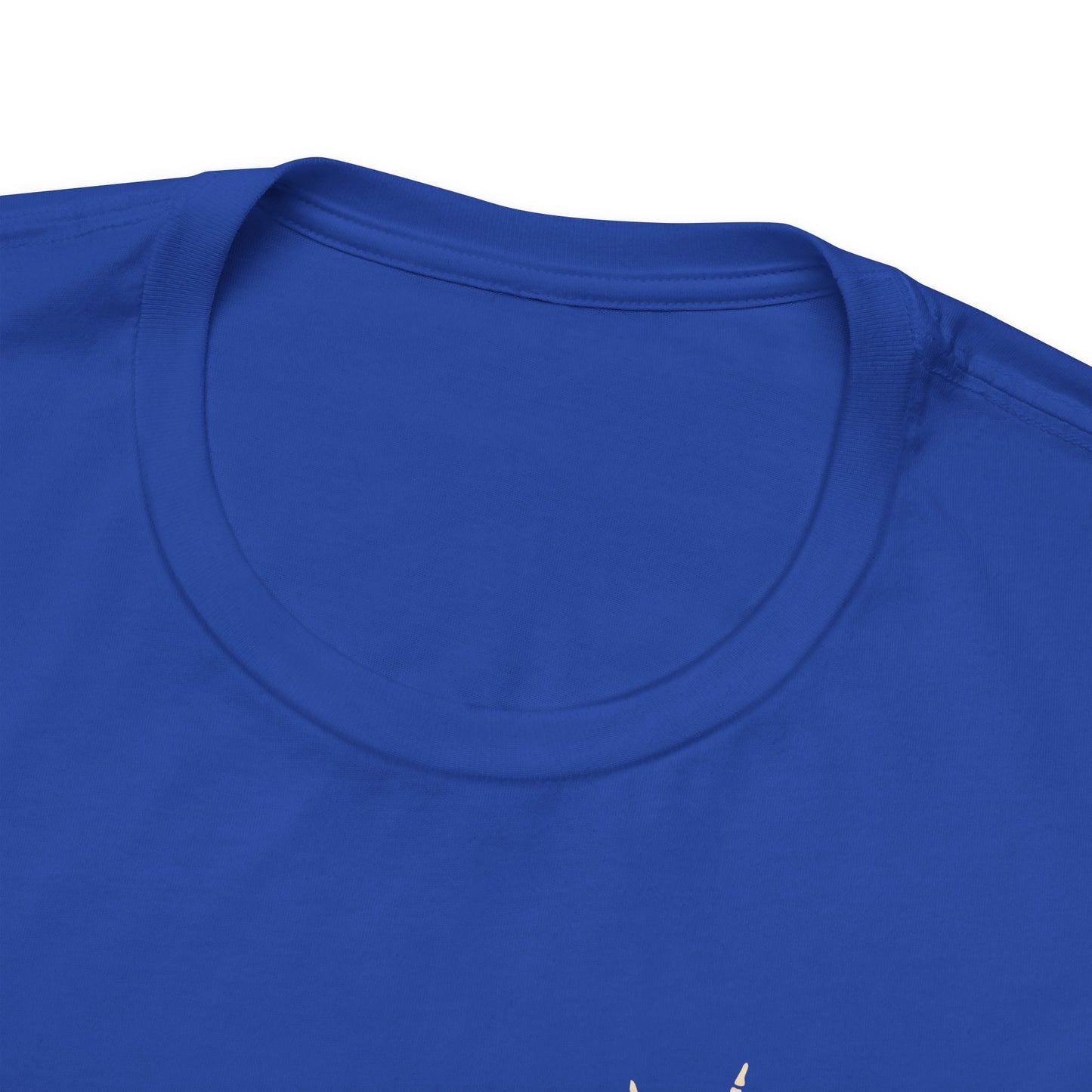🎤 DAD TOUR – Camiseta divertida para papá inspirada en un concierto