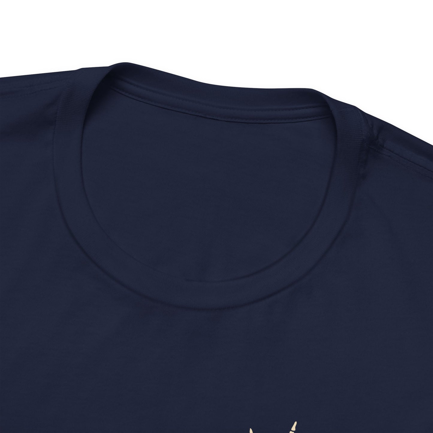 🎤 DAD TOUR – Camiseta divertida para papá inspirada en un concierto