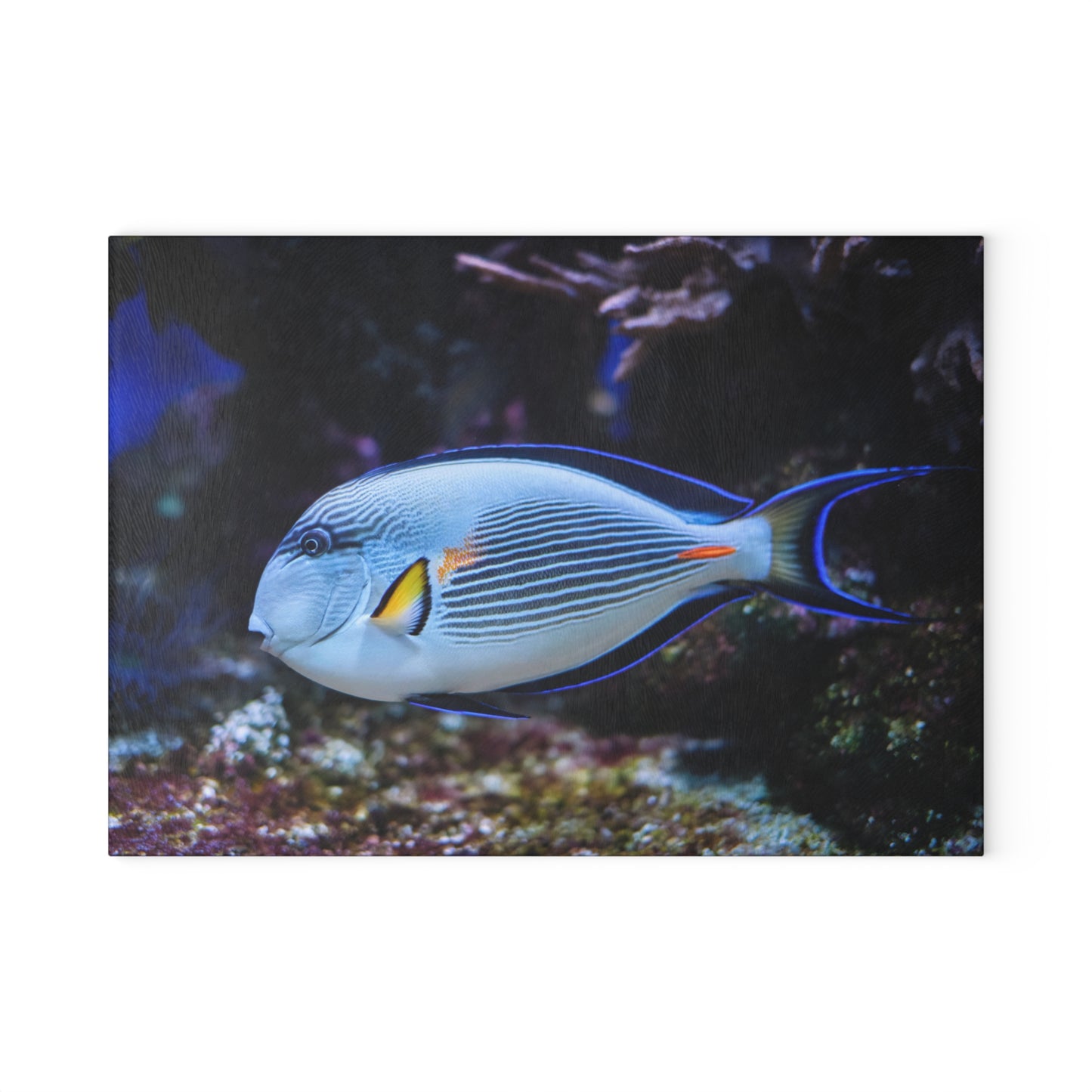 Tabla de cortar de coral Blue Tang: un elegante estilo oceánico para tu cocina