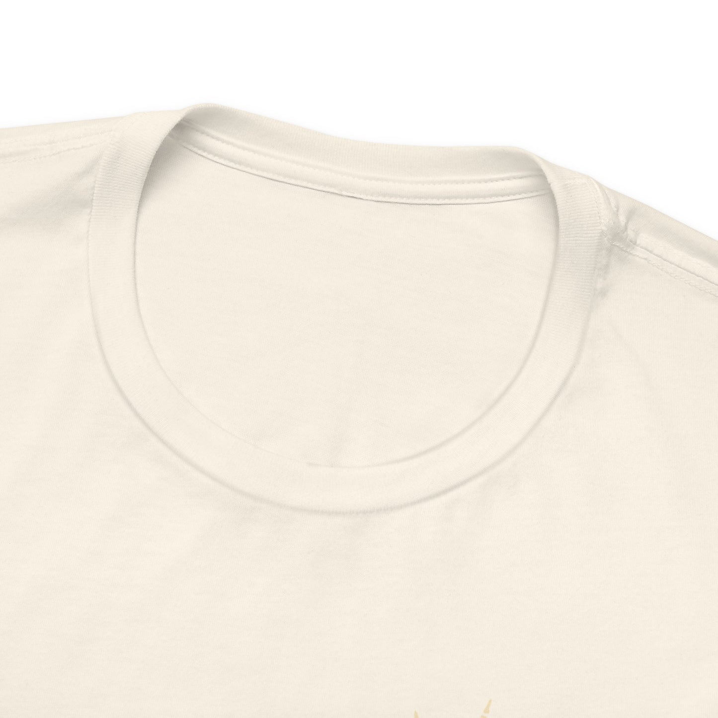🎤 DAD TOUR – Camiseta divertida para papá inspirada en un concierto